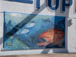 Legacy Murals